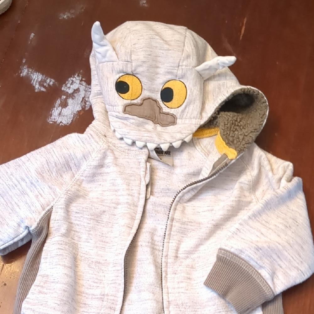 Warner Bros. Gray Monster Hoodie for Kids